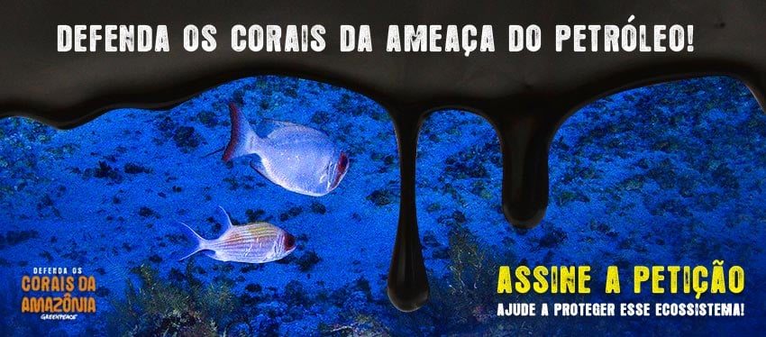 Assine a petição