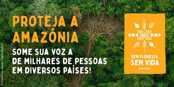Sem Floresta, Sem Vida