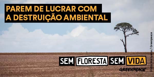 #SegureALinha do Desmatamento