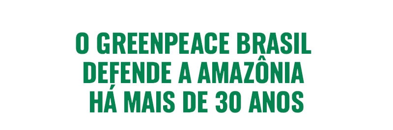 o greenpeace brasil defende a amazônia há 30 anos