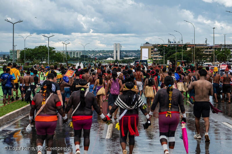 Grupo de pessoas indígenas de mãos dadas durante a marcha do Acampamento Terra Livre, simbolizando união, resistência e luta coletiva.