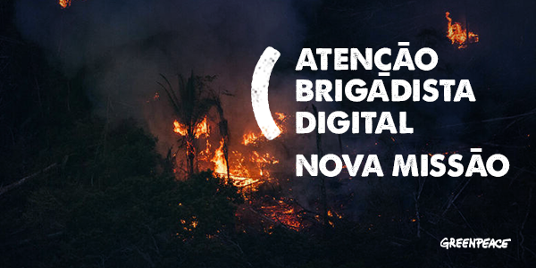 Header Nova Missão semana 26.08 (Ana Boscolo) - w5103718
