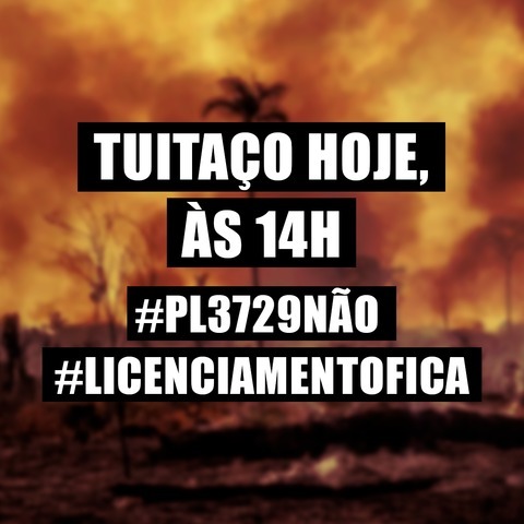 Tuitaço hoje #PL3729Nao #LicenciamentoFica