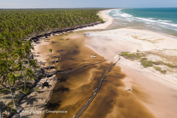 Foto tirada de drone mostrando o vazamento de óleo na praia do Nordeste - Comunidade Piracanga