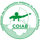 Logo Coiab_cores