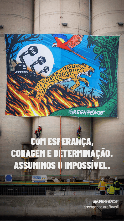 Plano de fundo Greenpeace Brasil