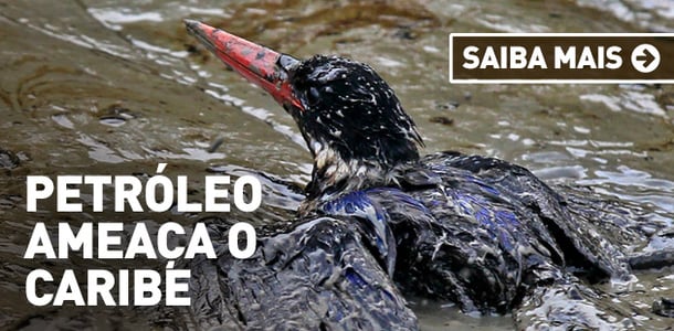 Saiba mais - Petroleo no Caribe