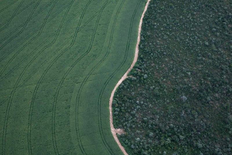 plantacao-soja-rio-preto-ba