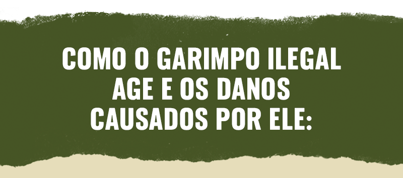 https://www.kickante.com.br/vaquinha-online/greenpeace-brasil-amazonia-livre-de-garimpo?utm_source=email&utm_medium=ciber&utm_campaign=florestas&utm_content=aq_20230418_email1