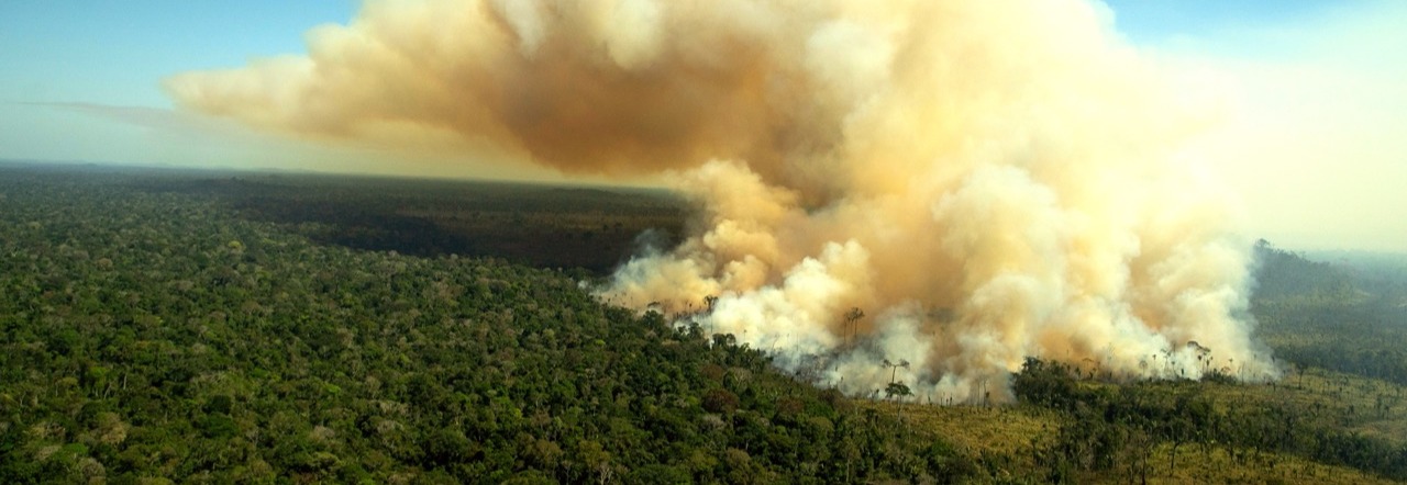 © Christian Braga / Greenpeace 24