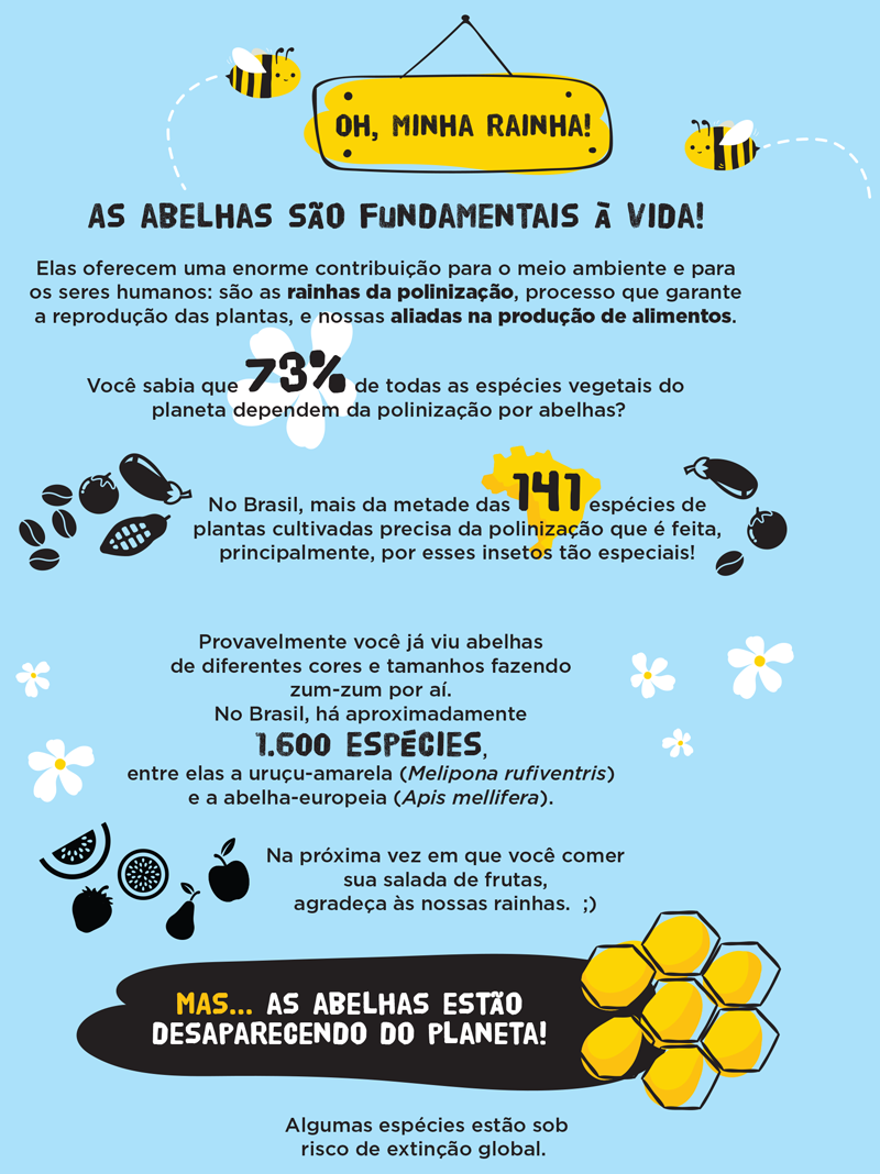 abelhas1